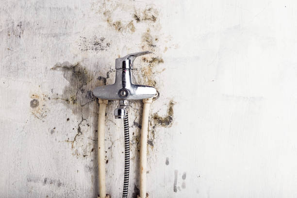 Best Water Damage Restoration  in Rpinteria, CA