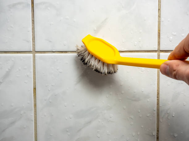Best Professional Mold Removal  in Rpinteria, CA