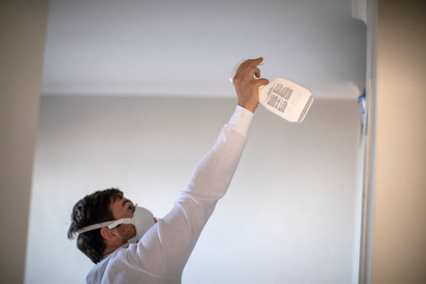 Best Attic Mold Removal  in Rpinteria, CA